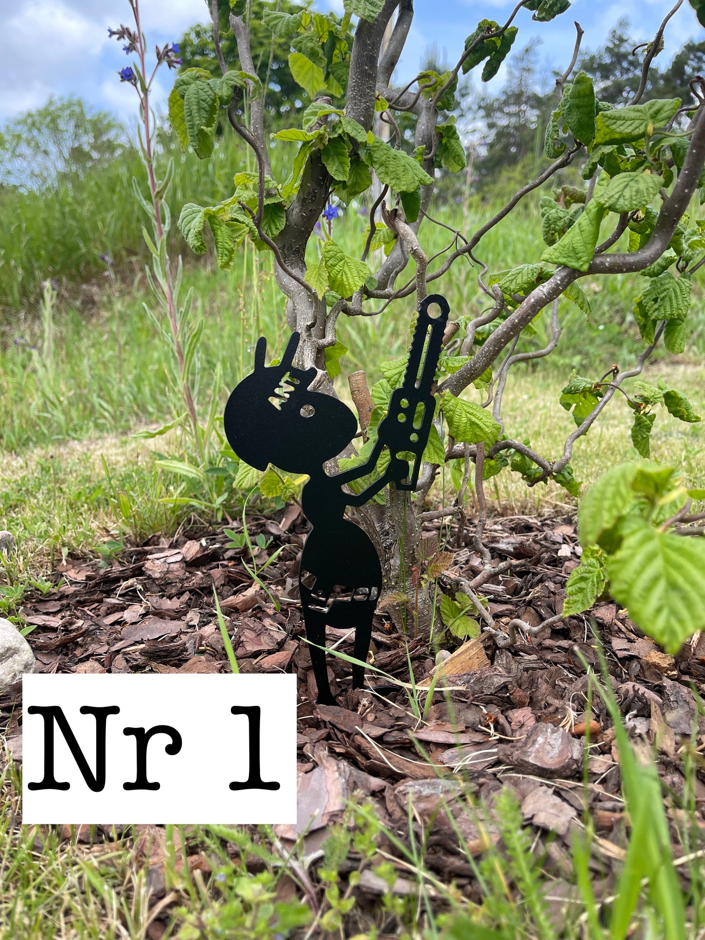 Myra nr 1