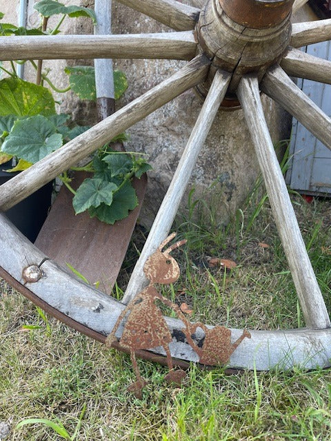 Myra nr 2 Vattenkanna Rostig