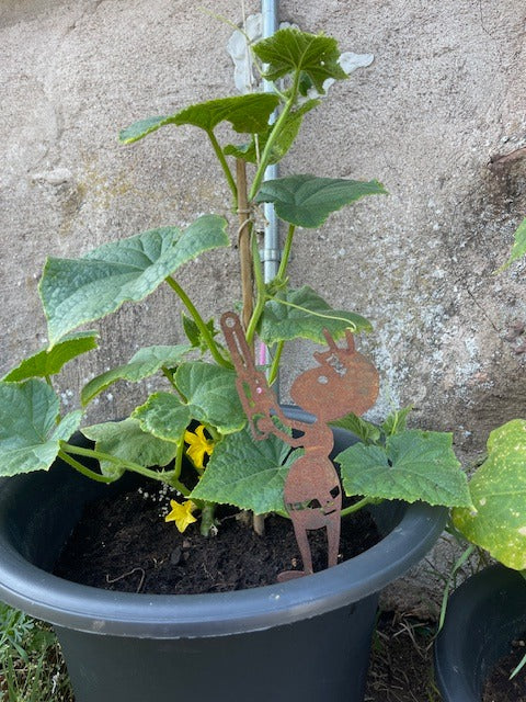 Myra nr 1 Motorsåg Rostig