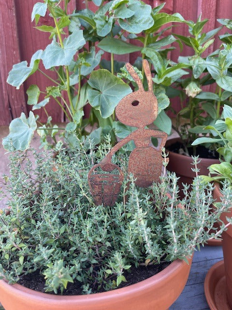 Myra nr 11 Korg Rostig