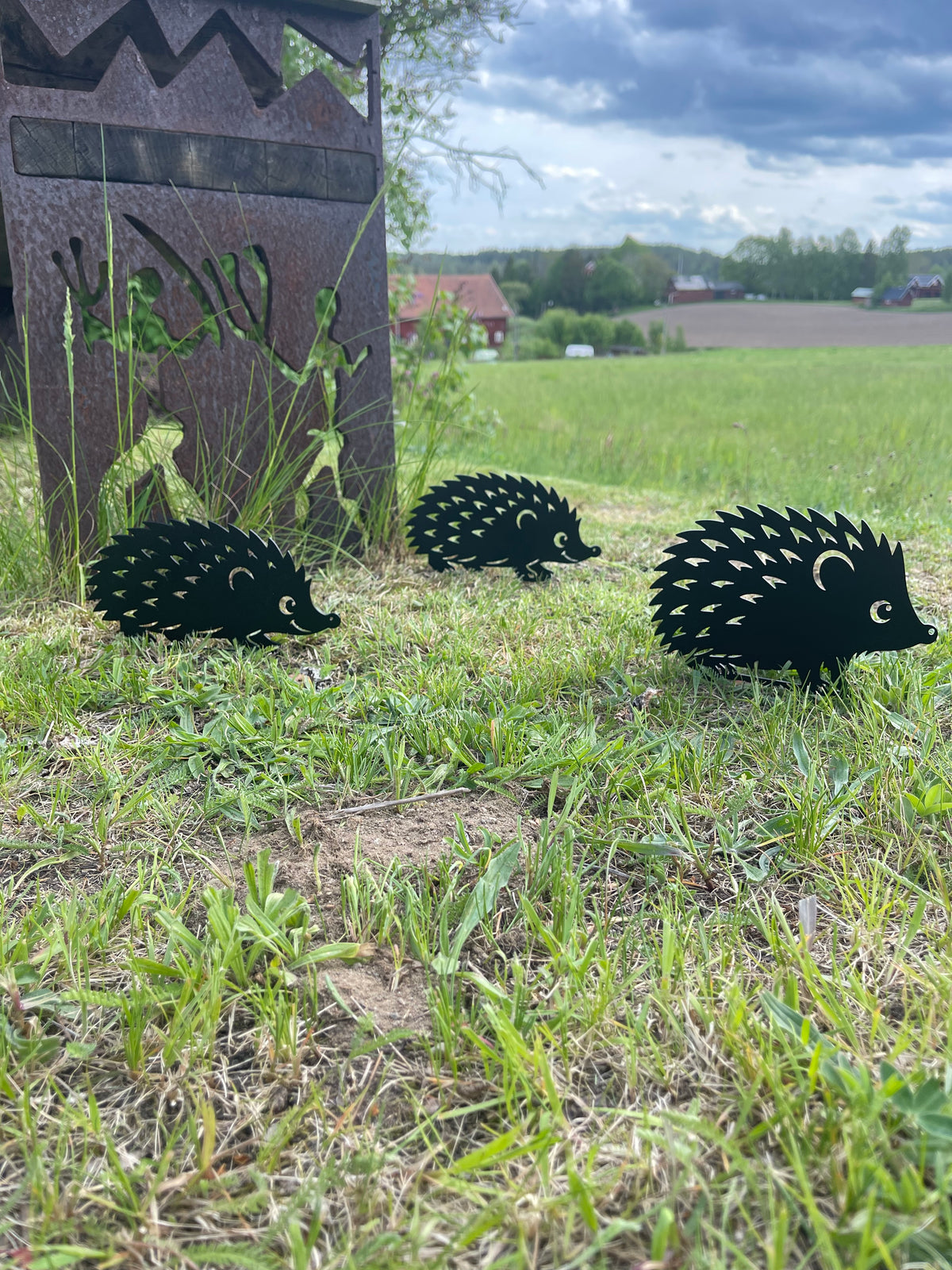 Igelkottar