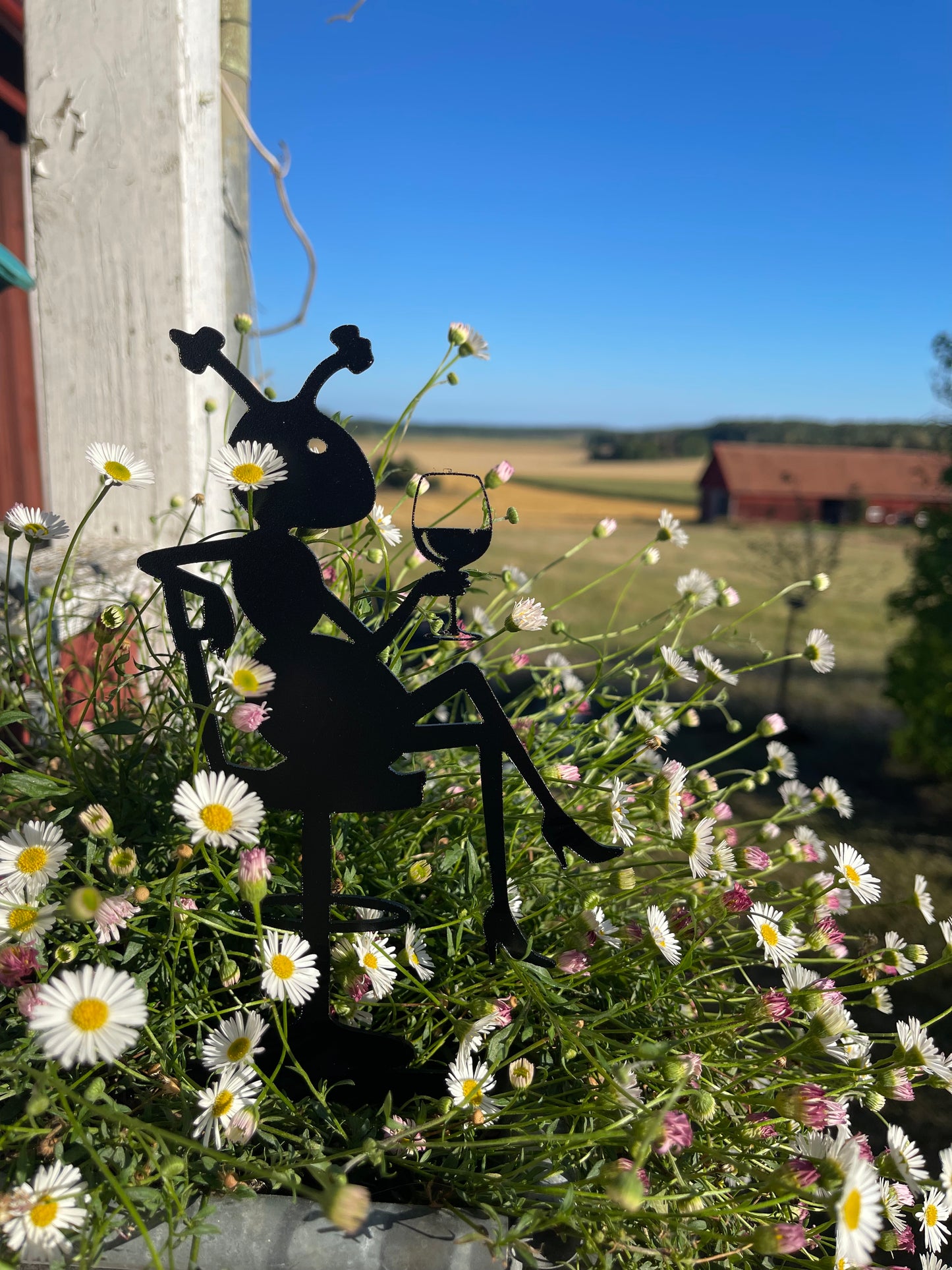 Myra nr 68 Ett glas rött