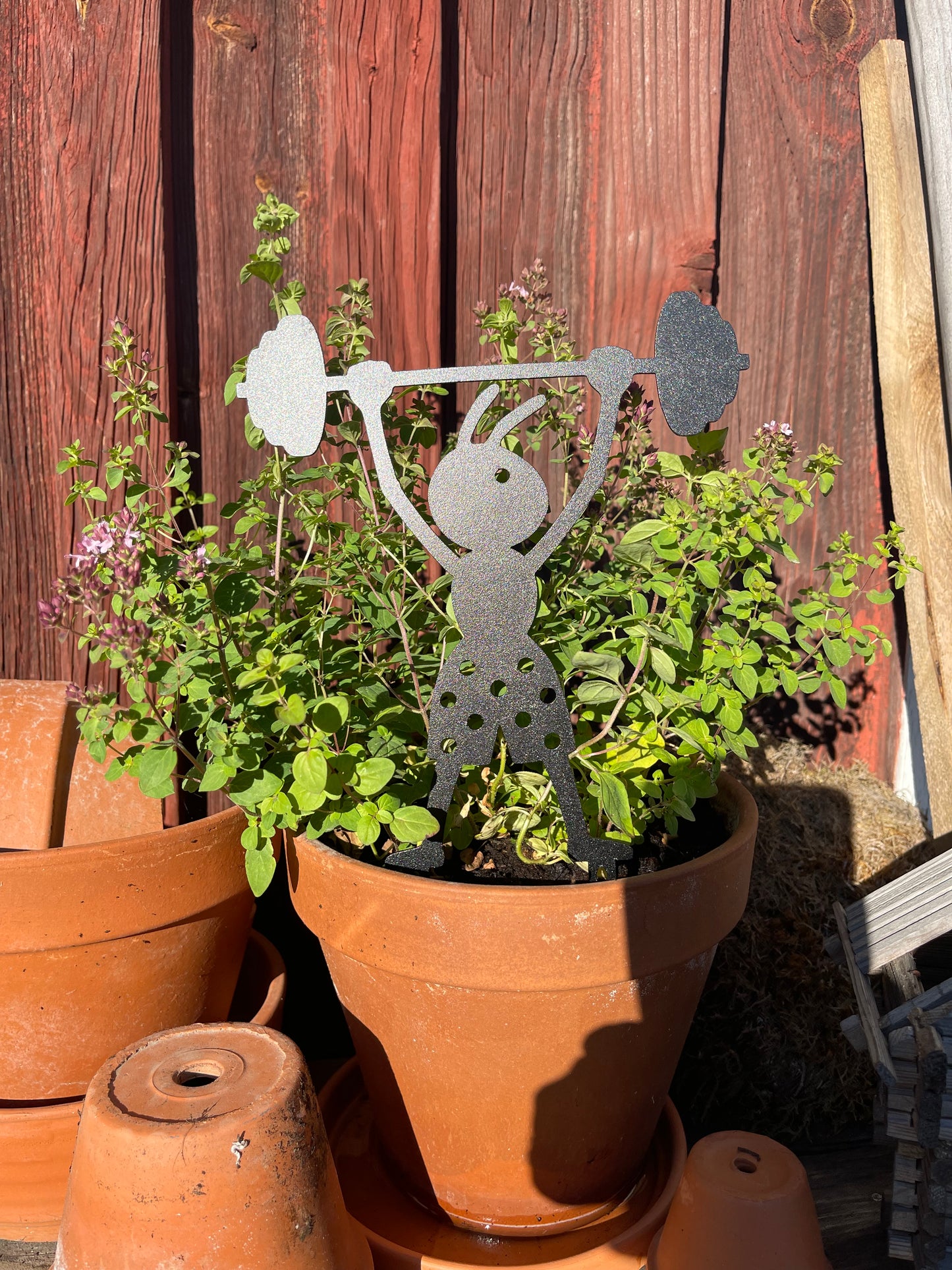 Myra nr 76 Sture Stark