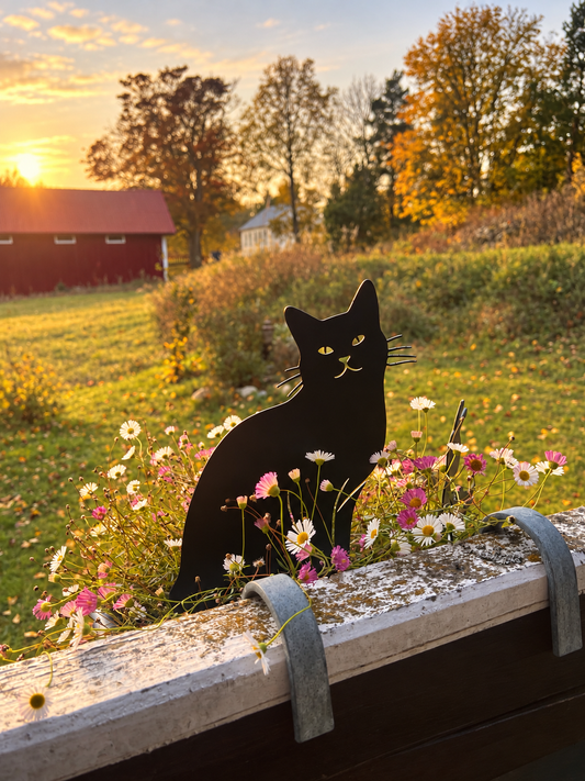 Finkatten