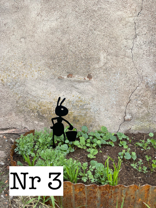 Myra nr 3