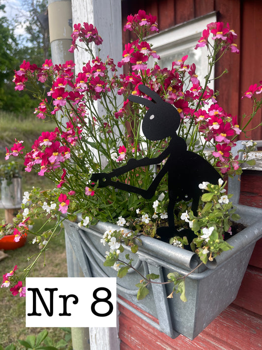 Myra nr 8