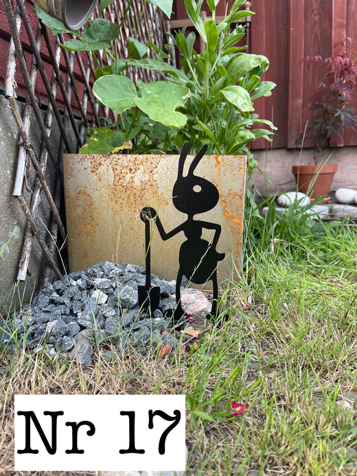 Ant No. 17 Spade